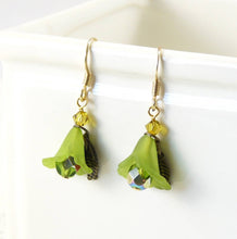 Load image into Gallery viewer, Lucite Earrings