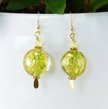 Load image into Gallery viewer, Murano Glass Earrings
