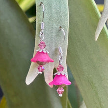 Load image into Gallery viewer, Lucite Earrings in Silver
